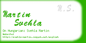 martin svehla business card